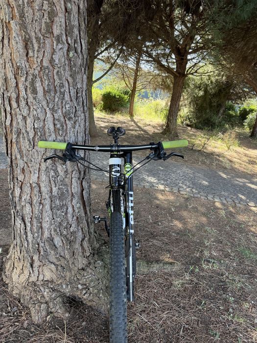 Cannoldale Carbono F29