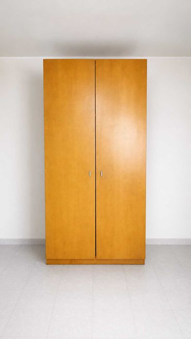Roupeiro / Armário de Madeira – 2 Portas – Bom Estado