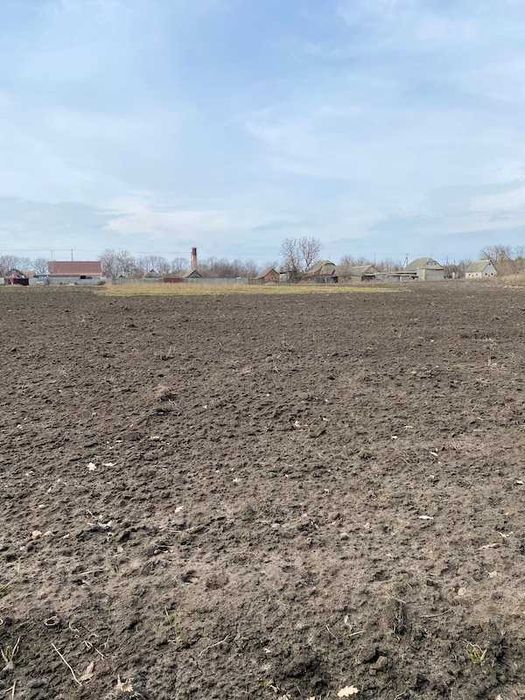 Продам земельну ділянку Шаровка Богодухівський район (169139)