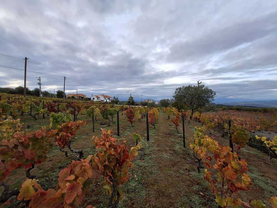 Terreno para construção