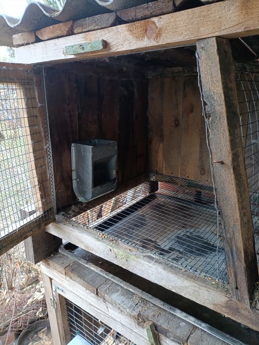 Клетки для кроликов