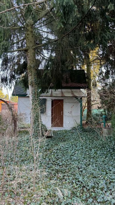 Domek letniskowy