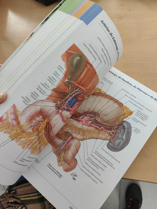 Atlas de Anatomia Humana 5.edição