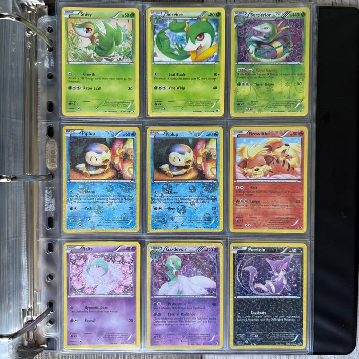 Pokemon Black and White Legendary Treasures Radiant Collection