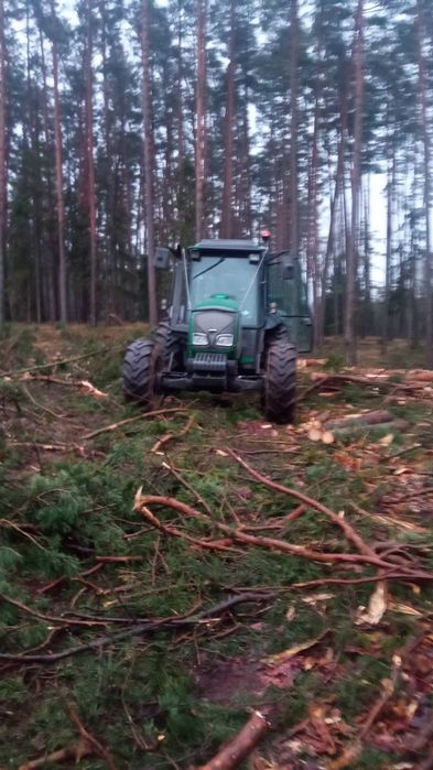 Wycinka drzew, inne usługi ogrodnicze