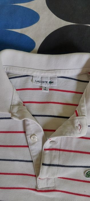 Polo Lacoste 8 anos
