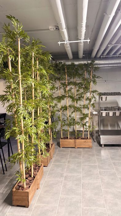 Бамбук штучний дерева