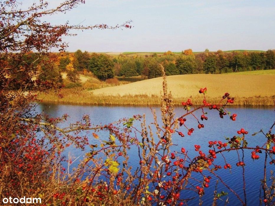 Działka, Żałe