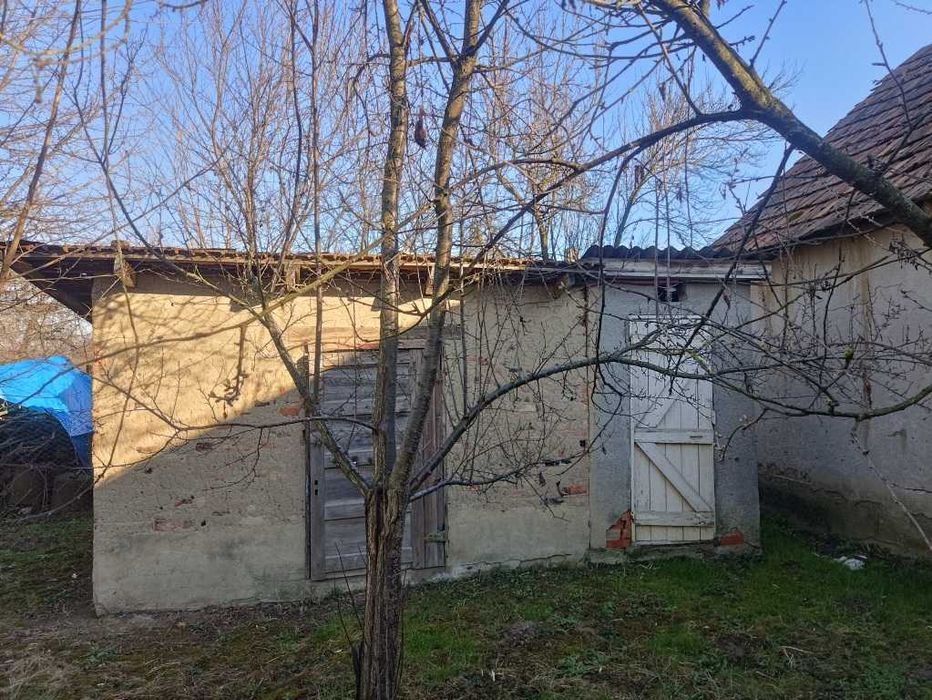 Велике БУДИНКОВОЛОДІННЯ у с. Балажер 7км до Берегова, ділянка 16 соток