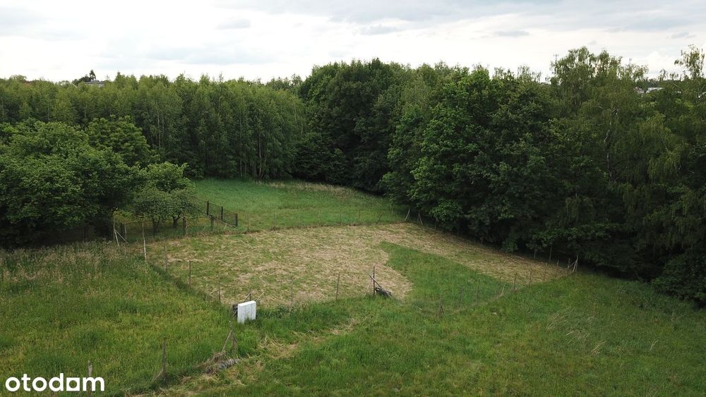 Działka pod lasem!  Nieruchomość z pozwoleniem na budowę