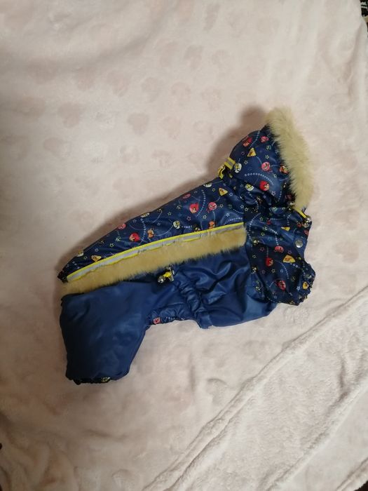 Комбінезон для собачки на вагу від 3-х до 3,5 кг