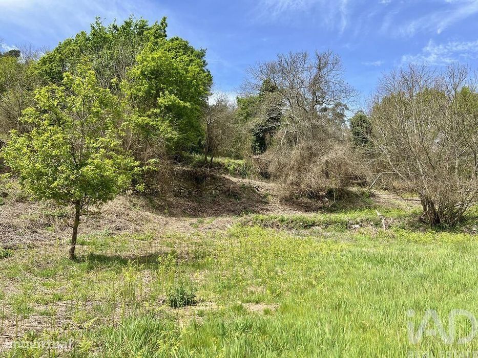 Terreno em Vouzela e Paços de Vilharigues de 26750,00 m2