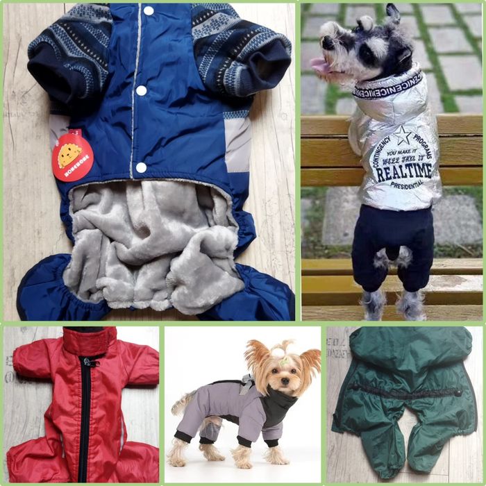 Одяг (комбінезони) для собак