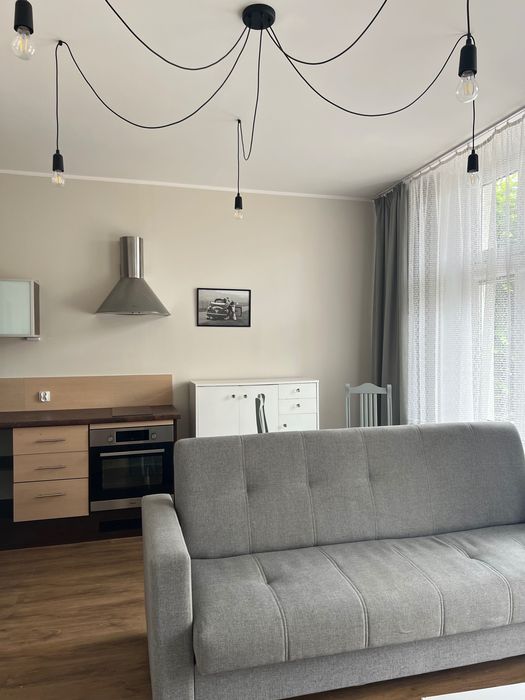 Mieszkania i lokale do wynajęcia w centrum Kartuz
