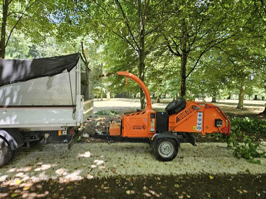 Corte e Abate de Árvores – Serviço Profissional