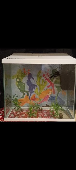 akwarium 19L dobry stan