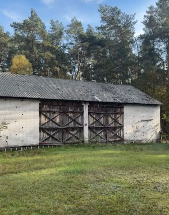 Sprzedam siedlisko Damianów