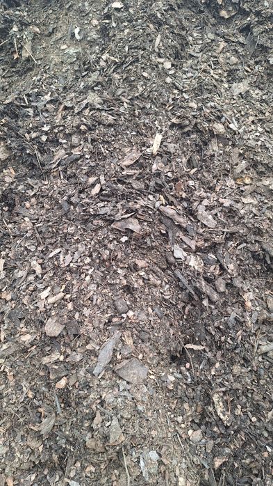 Kora luzem sosnowa 10m3