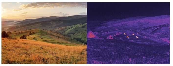 Тепловизионный прицел Pulsar Thermion 2 LRF XP50 Pro