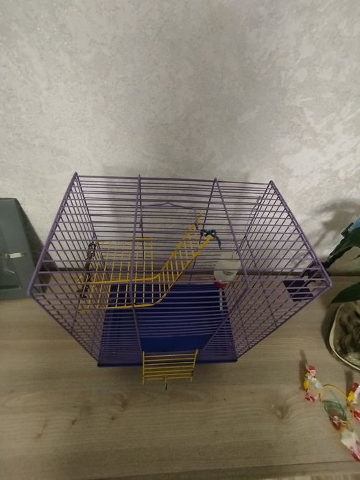 Клітка для гризунів
