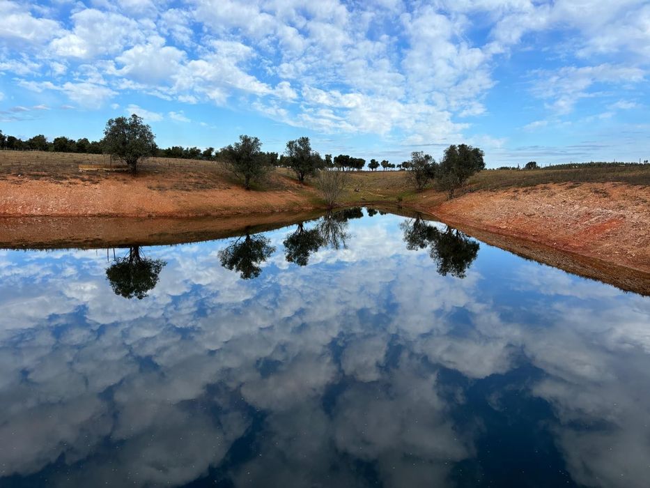 Vende-se propriedade