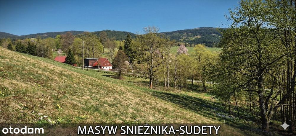 Masyw ŚNIEŻNIKA-SUDETY Piękna działka w górach! Kotlina Kłodzka-JODŁÓW
