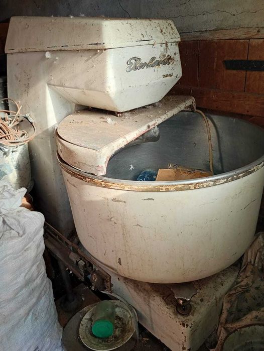 Тестомишилка догорная