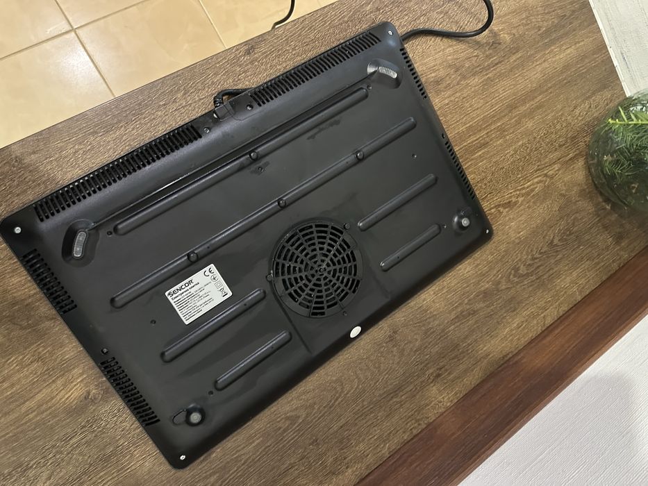 Індукційна пліта