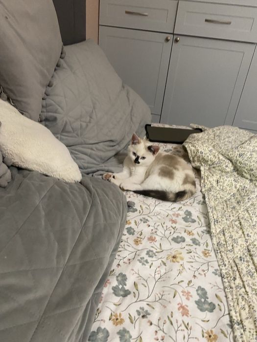 Відам в добрі руки(дівчинка)