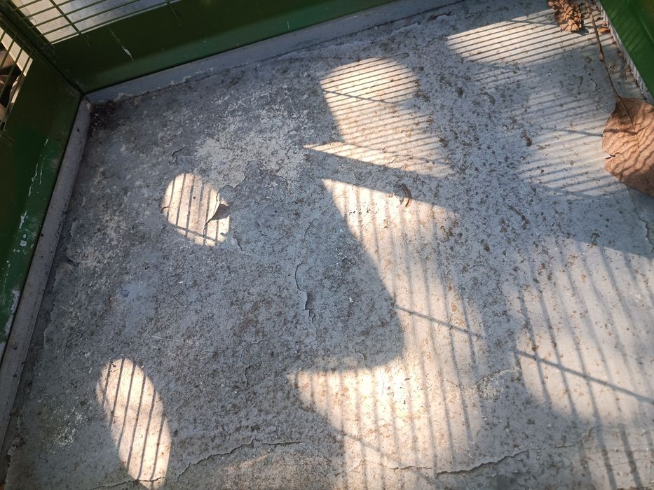 Sprzedam klatkę dla ptaków