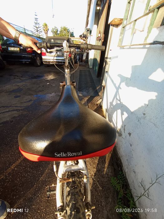 Bicicleta team F 100