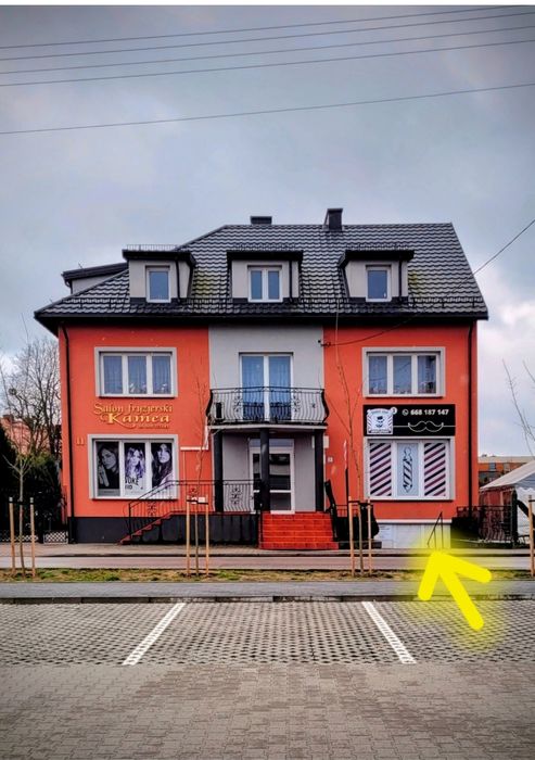 Lokal do wynajęcia