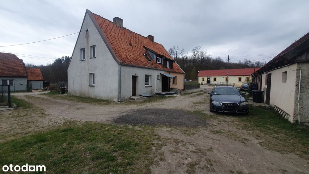 Bezczynszowe mieszkanie z ogródkiem | Kleczewo