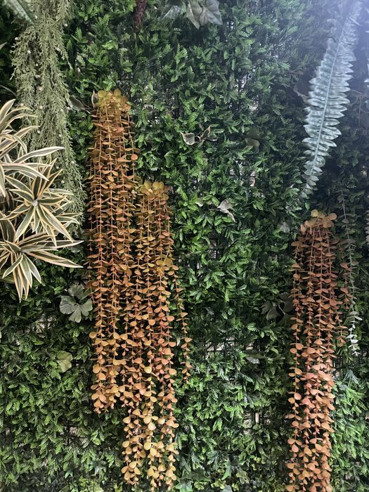 Jardim vertical enorme medidas nas fotos