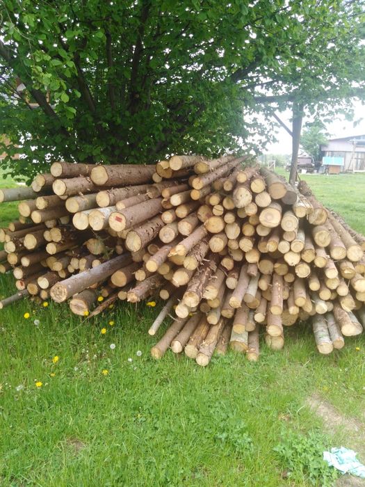 Stemple budowlane jodłowe 2.7- 3.0 metry 5zł za sztukę. Dowóz do 10 km