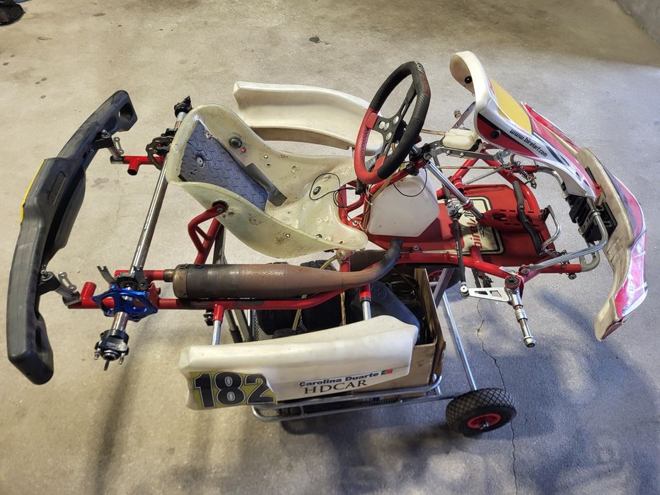 Chassis KART Birel 2014 cadete
