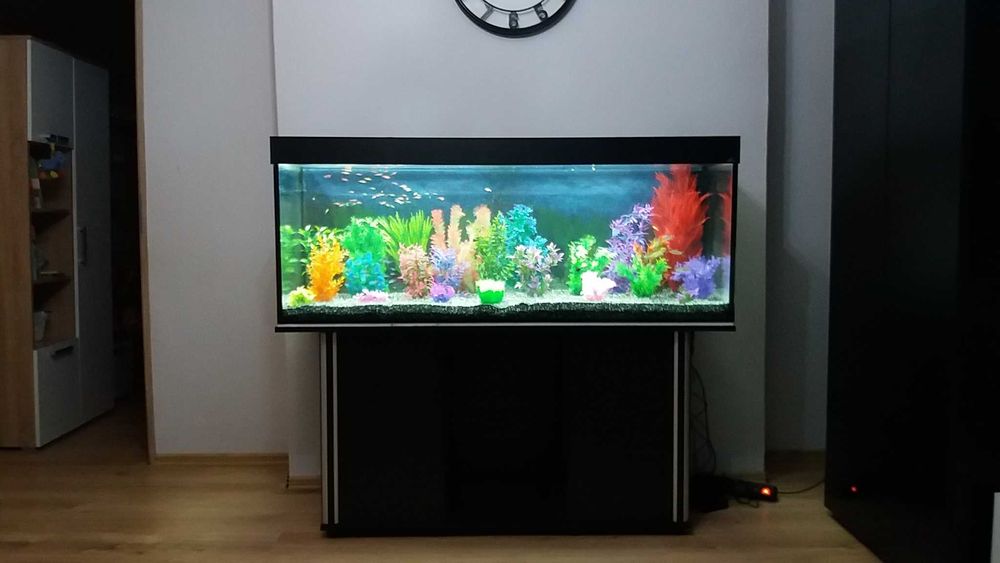 Akwarium proste 120x40x55 - 264 litrów float