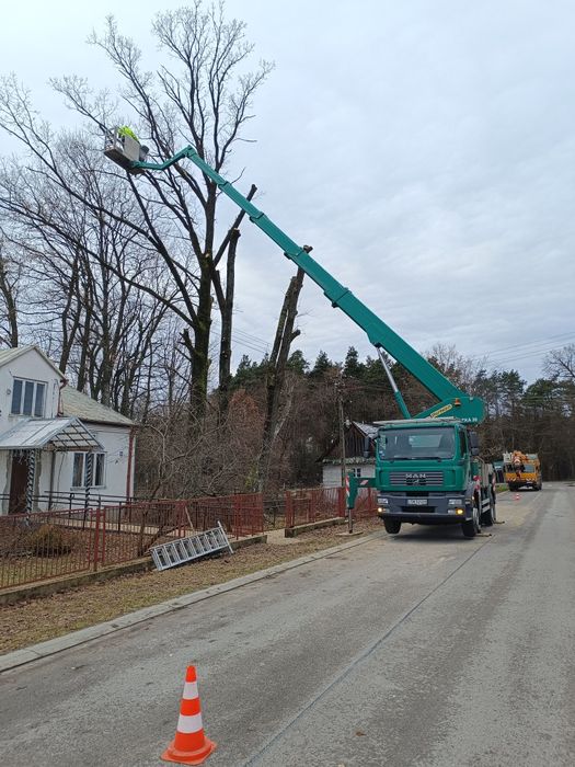 Wycinka/Podcinka drzew