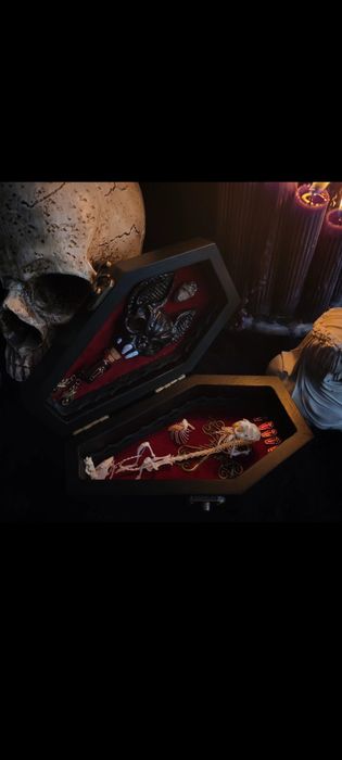 Hrabia Myszula taksydermia szkielet myszy