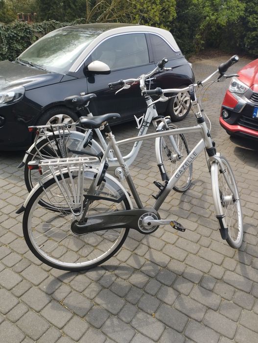 Rower Gazelle Chamonix Comfort  C8