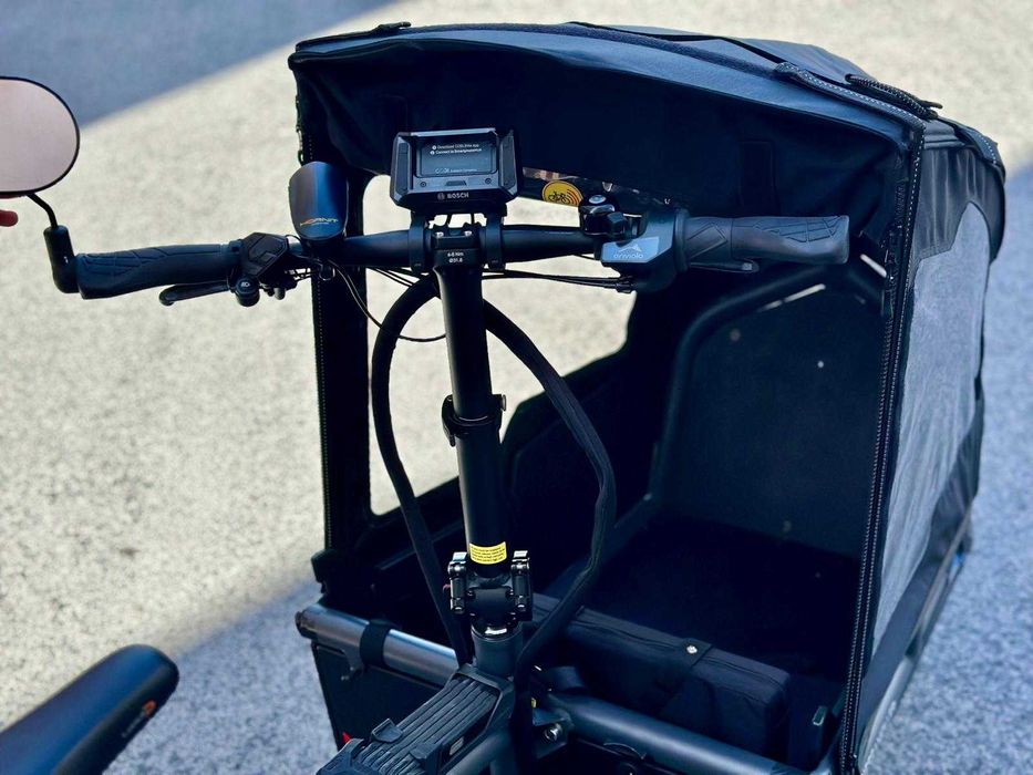 Bicicleta carga Riese & Muller Load 75 vario
