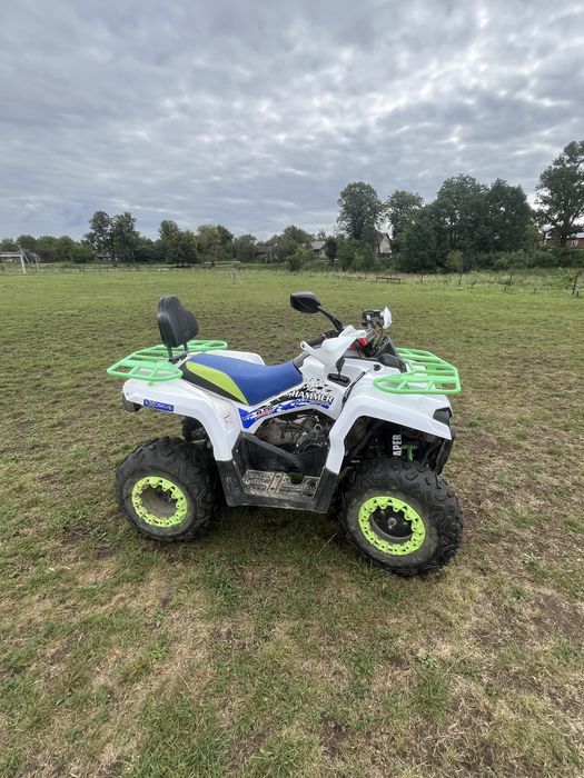 Квадроцикл Mikilon hamer 200