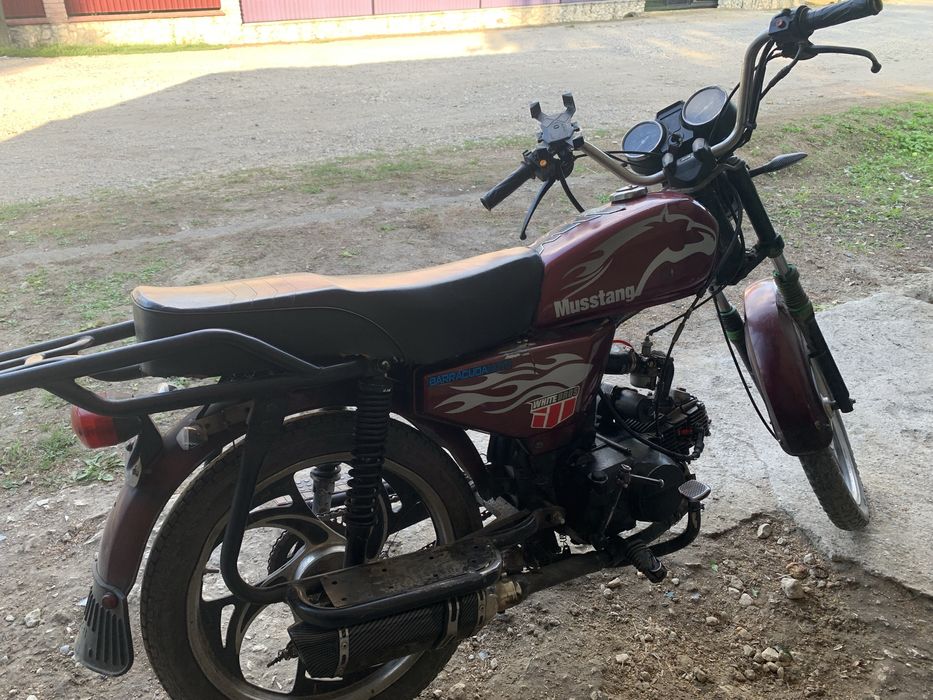 Альфа мустанг 2020