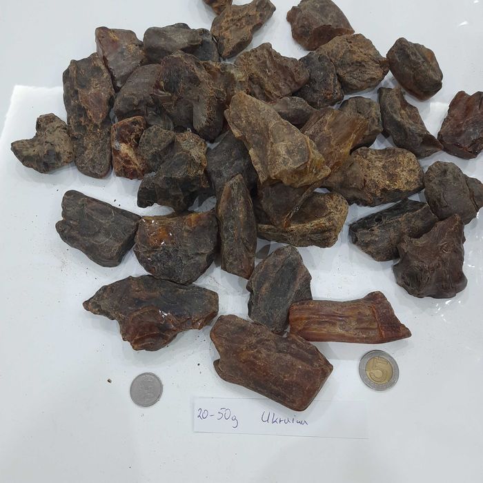 Bursztyn  Ukraiński 20-50g sklejka