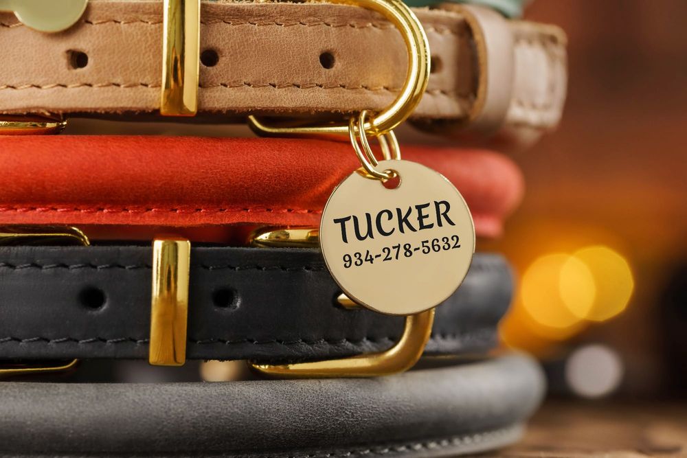 Ошейник Круглый Для Котов Кожаный С Гравировкой Для Кошек Колокольчик