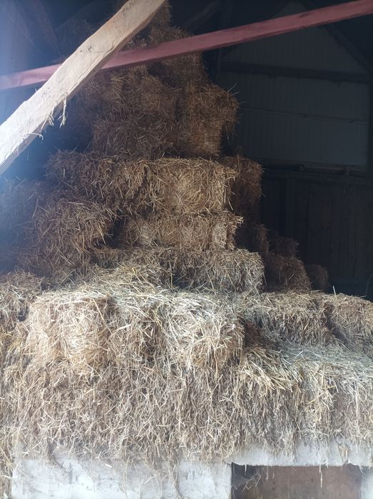 Sprzedam słomę w kostce