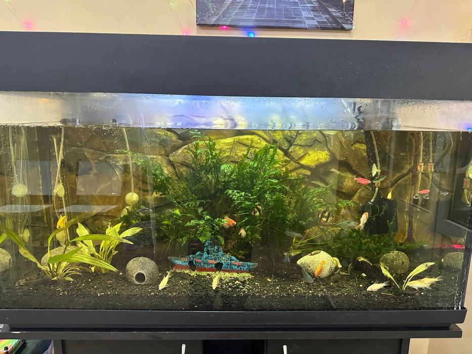 Продам аквариум (комплектом все как на фото)