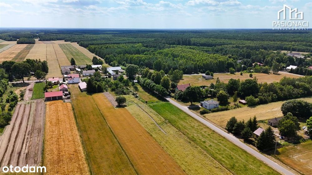 Działki pod dom | Mpzp | Droga asfaltowa