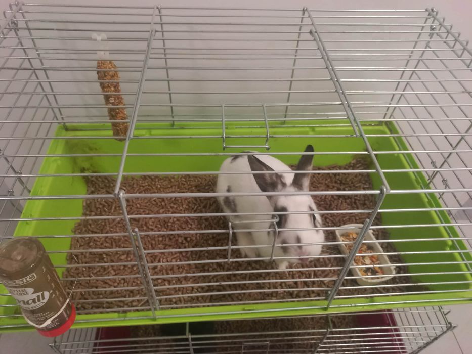 Oddam w dobre ręce.