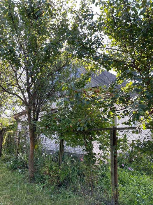 Продам будинок 15 соток, 3 кімнати, газ! с.Горбово! OS